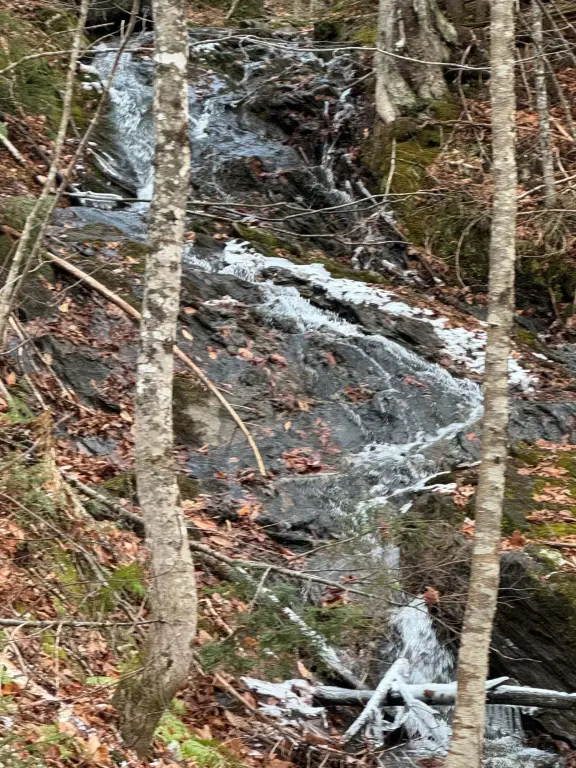 Picture 3