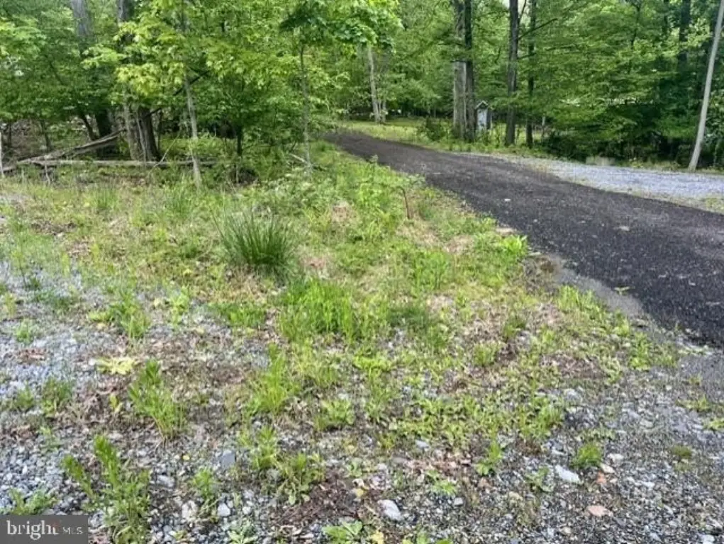 Picture 24