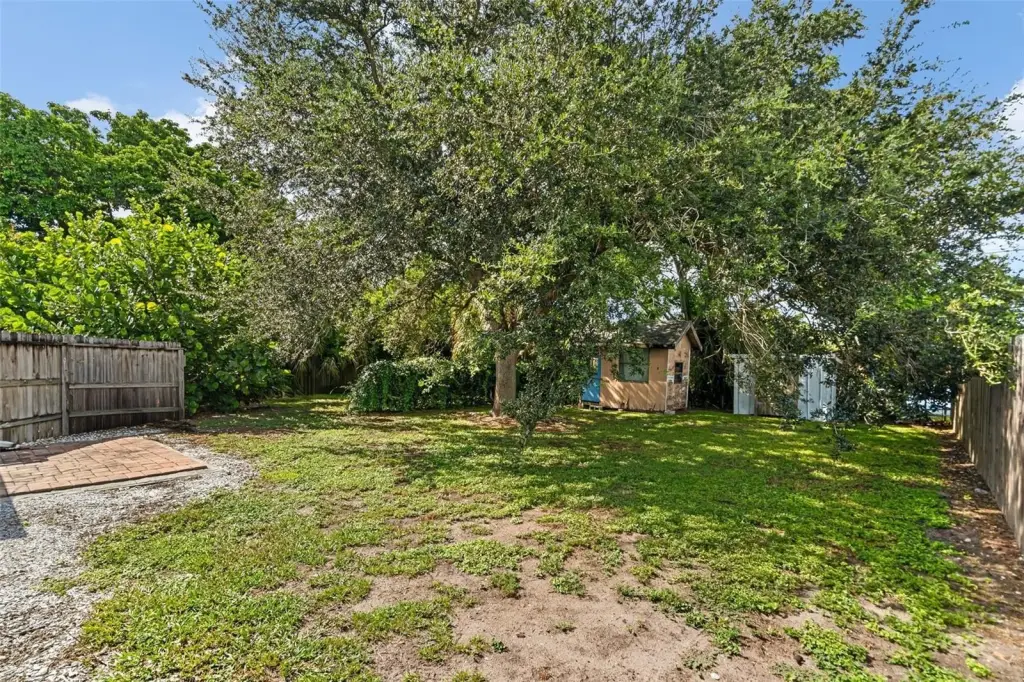 Picture 25