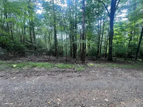 Wooded Lots Near Blue Ridge