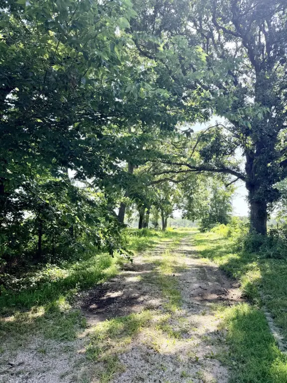 Picture 24