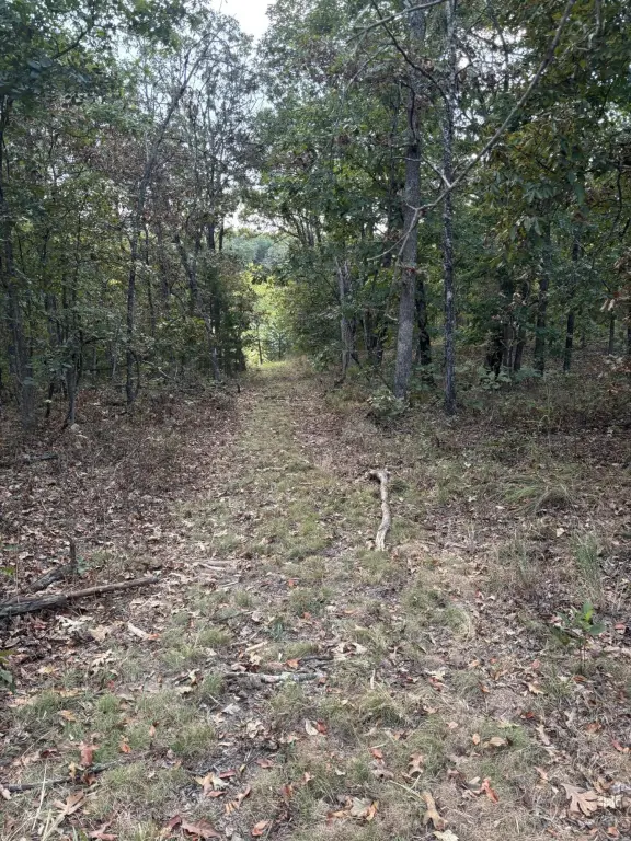 Picture 15