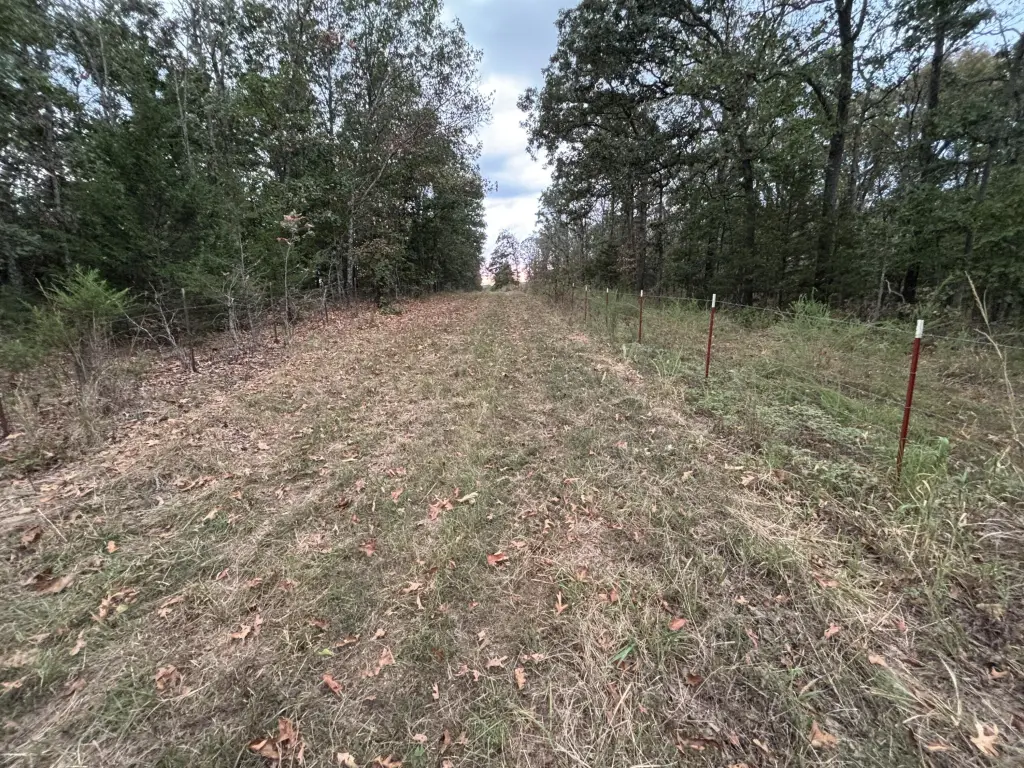 Picture 23