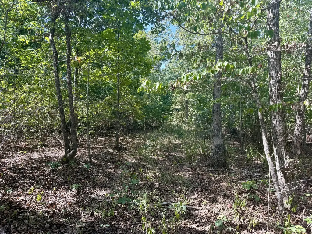 Picture 4