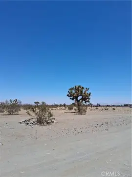 Flat Land Ready to Build