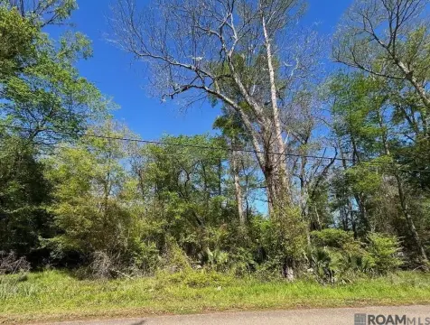 Amite River Waterfront Land