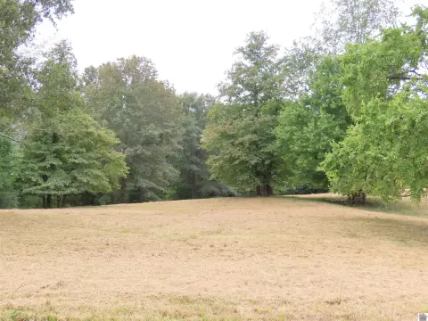 Residential Land in Wingo, KY