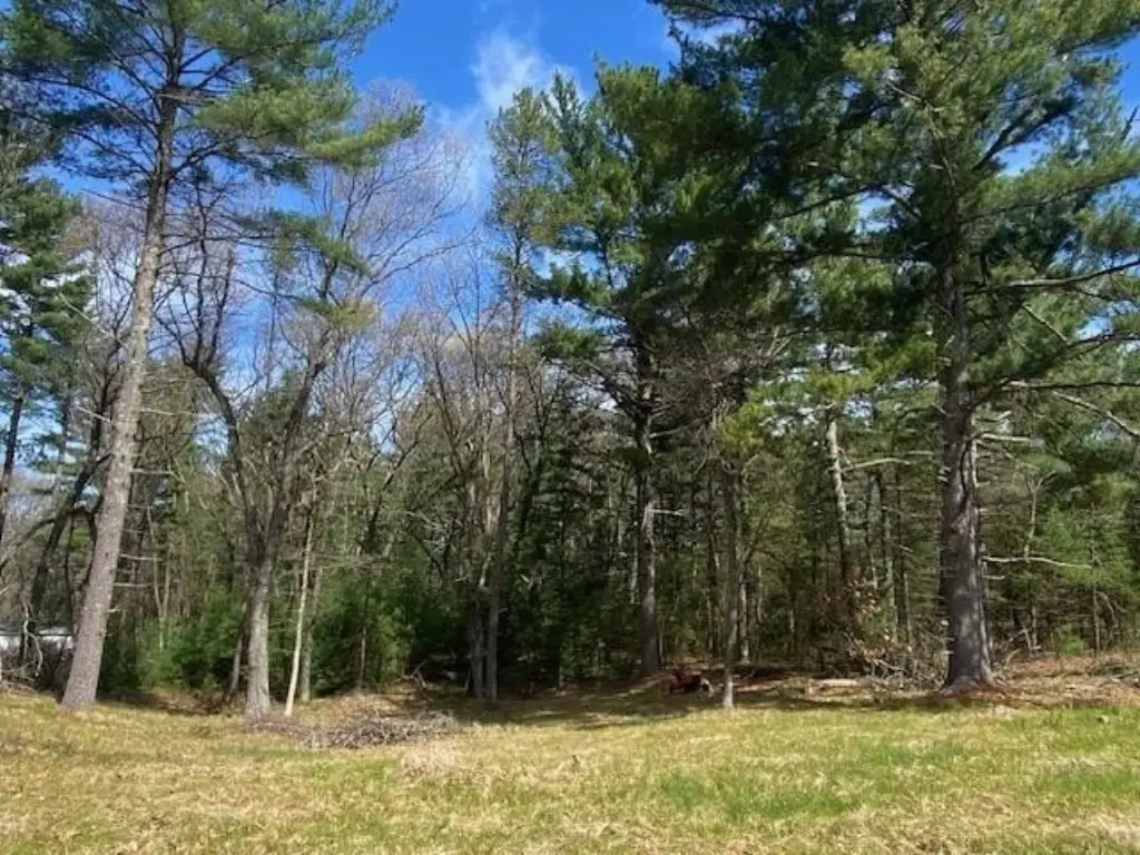 Picture 4