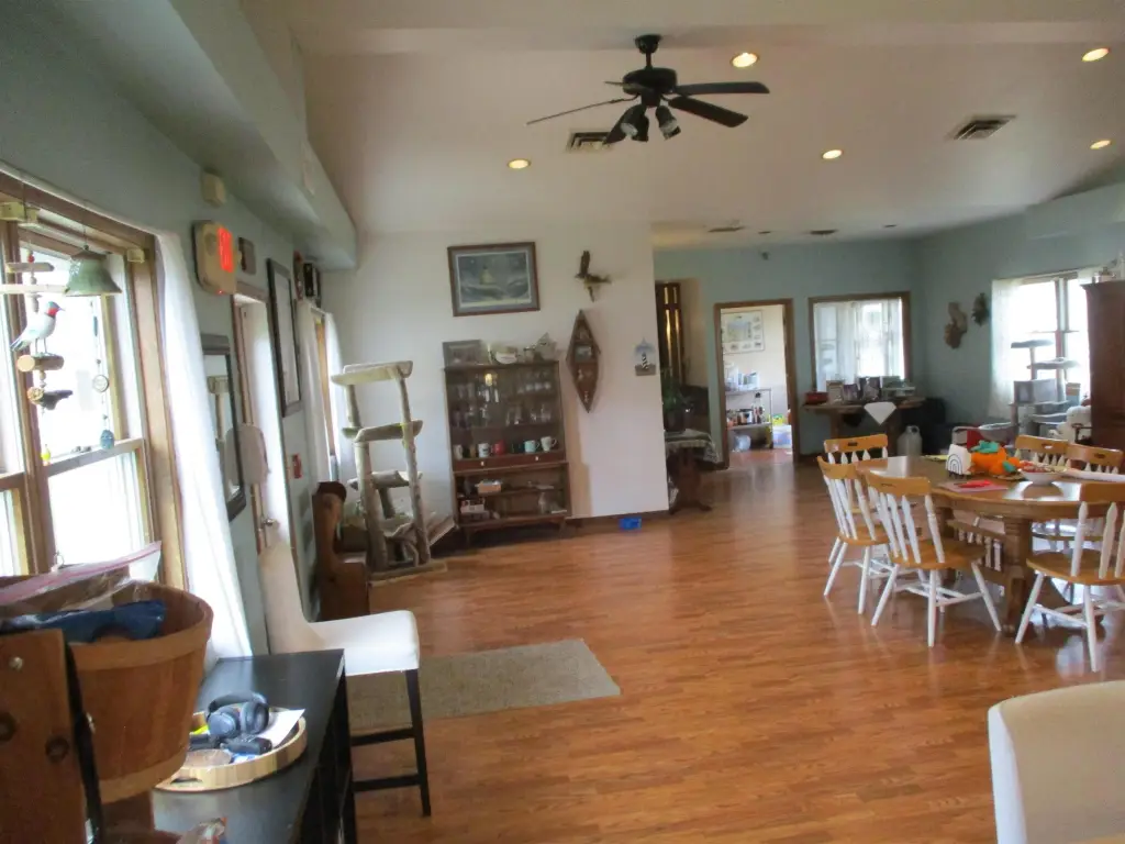 Picture 15