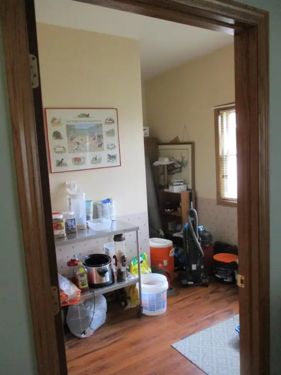 Picture 44