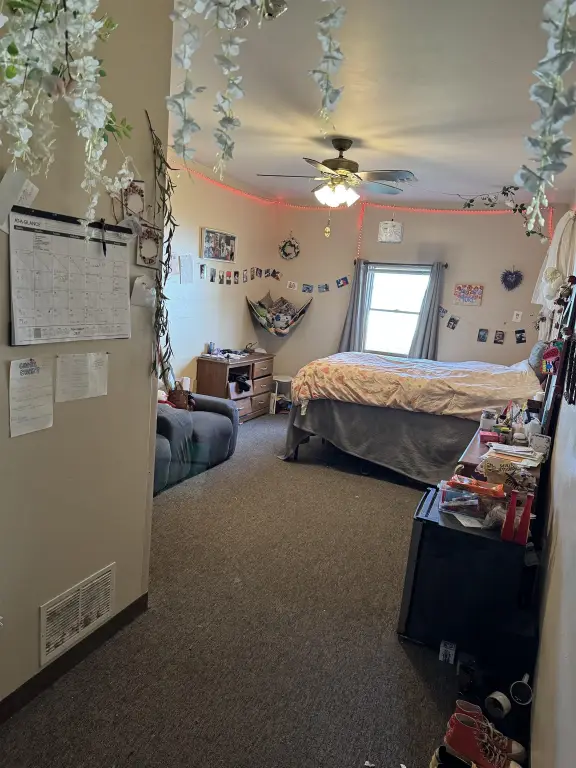 Picture 25