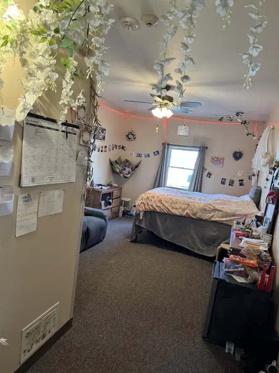 Picture 26