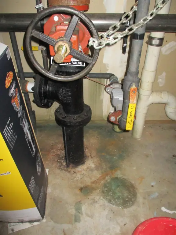 Picture 56