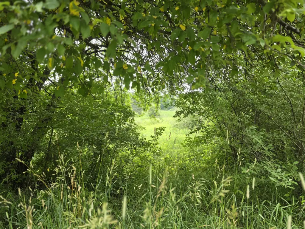 Picture 8