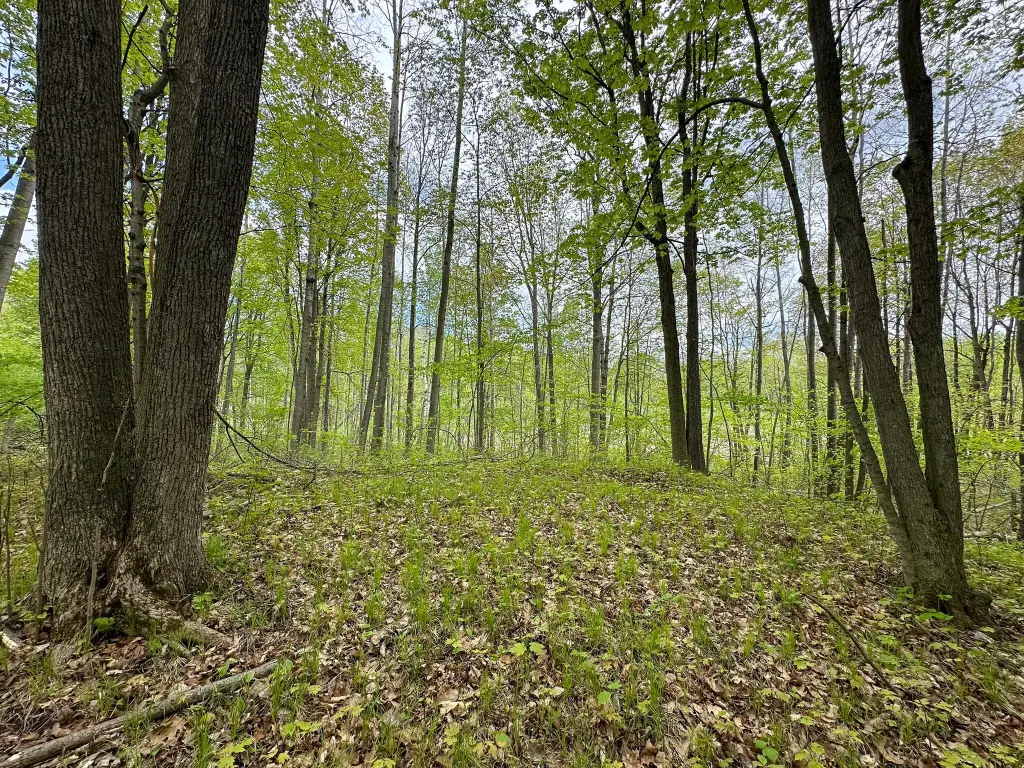 Picture 12