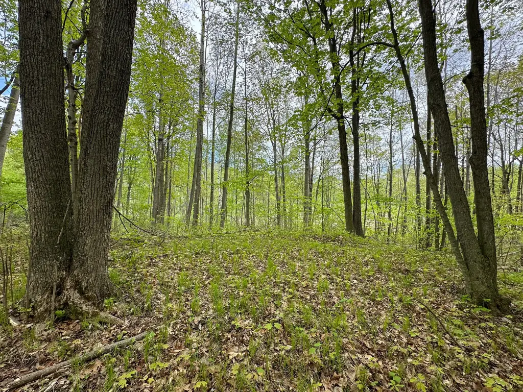 Picture 9