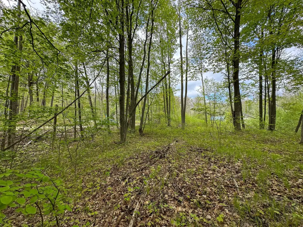 Picture 10