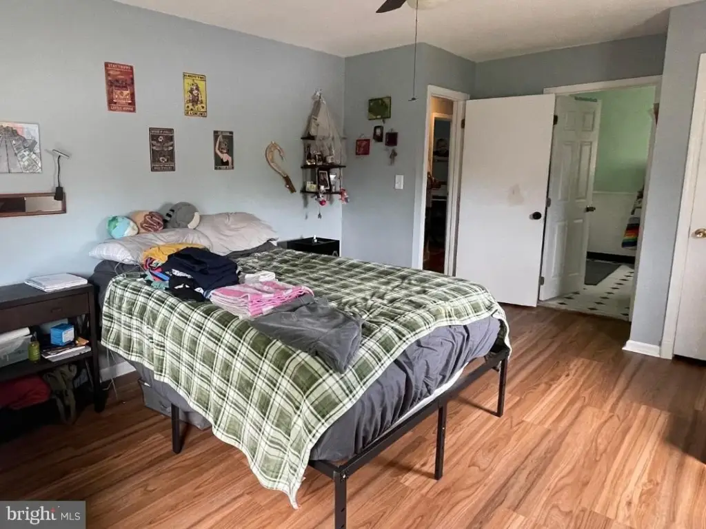 Picture 24
