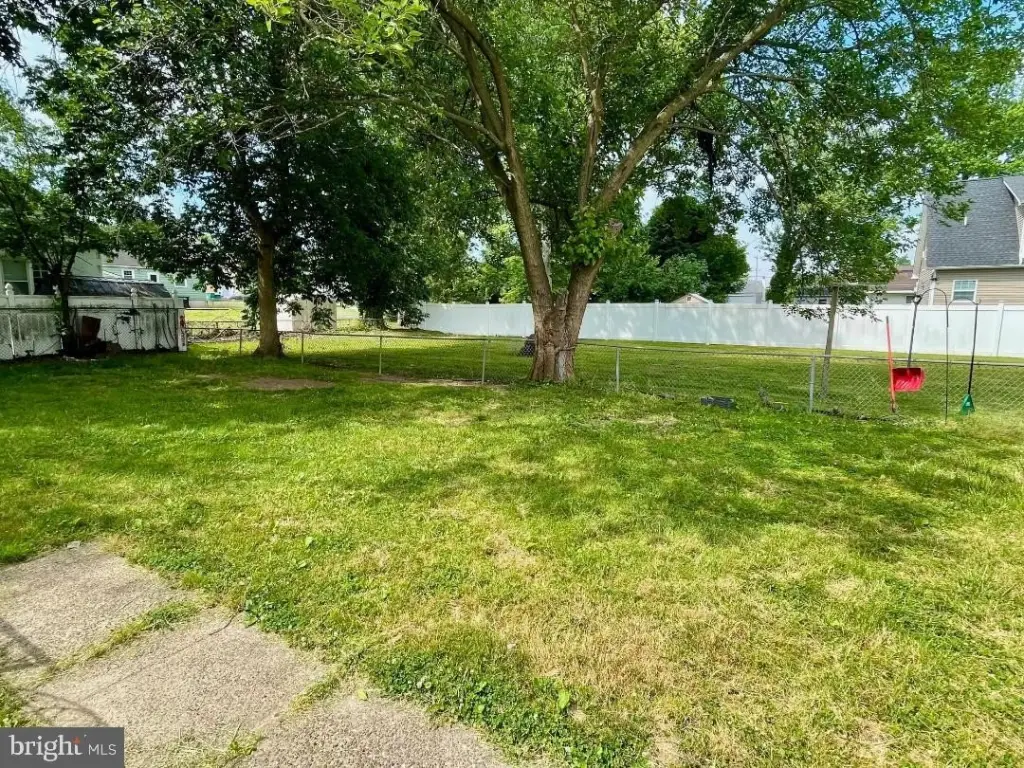 Picture 17