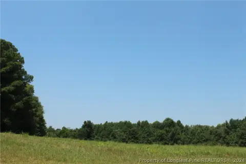 Chatham County Land For Sale