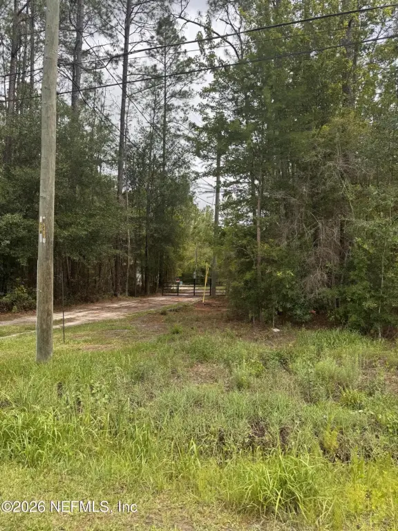 Picture 5