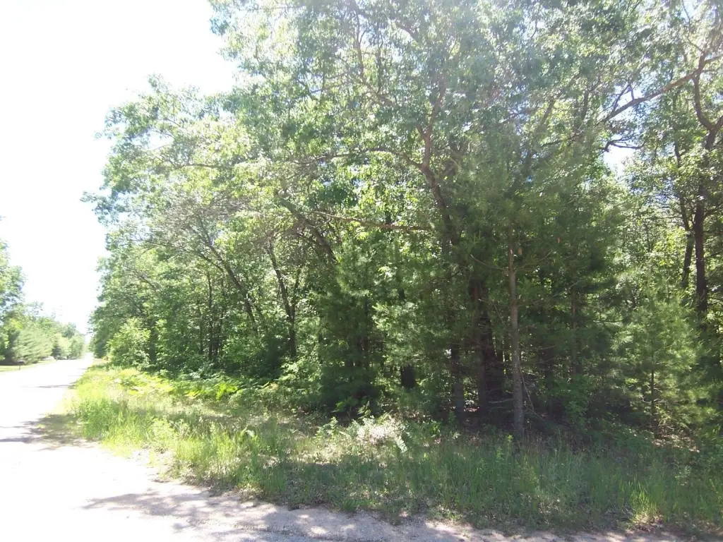 Picture 8
