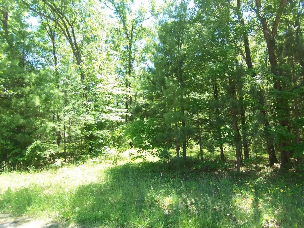 Picture 2