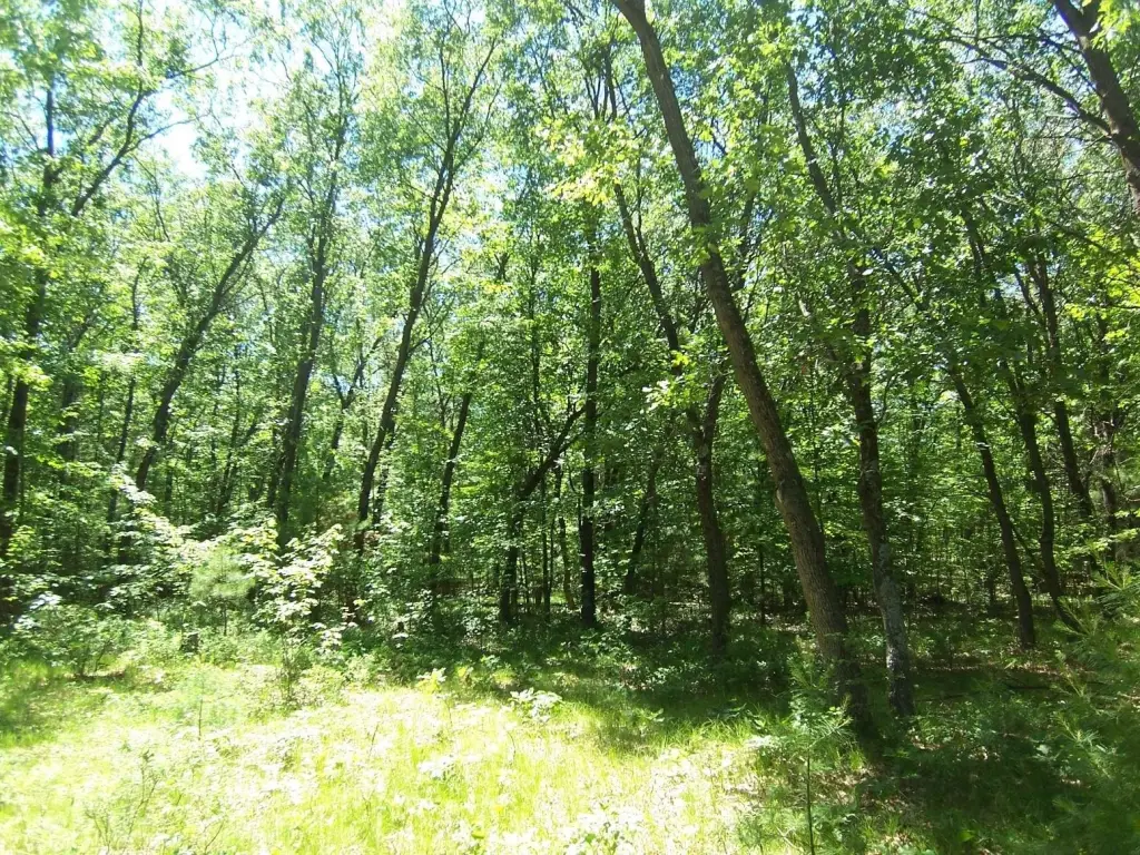Picture 4