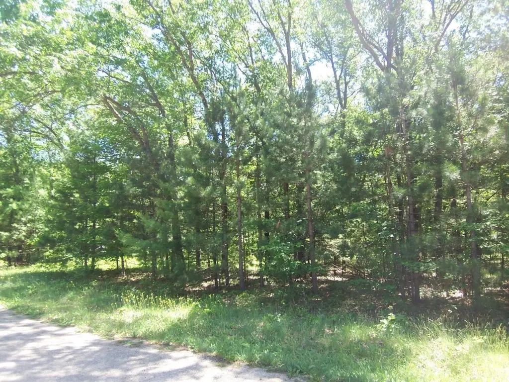 Picture 6