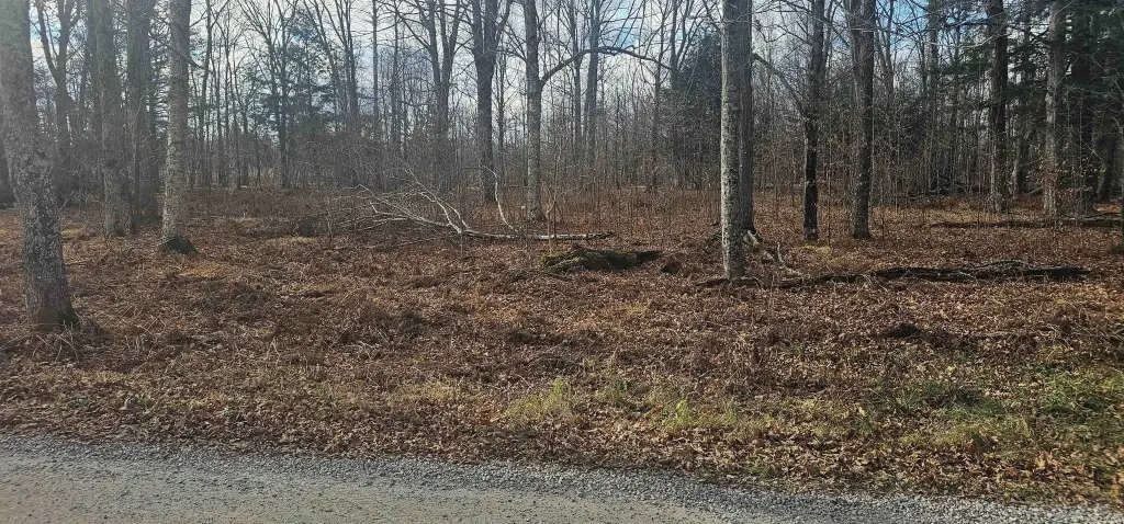 Picture 5