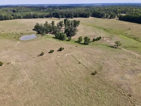 Productive Cattle Farm with Development Potential