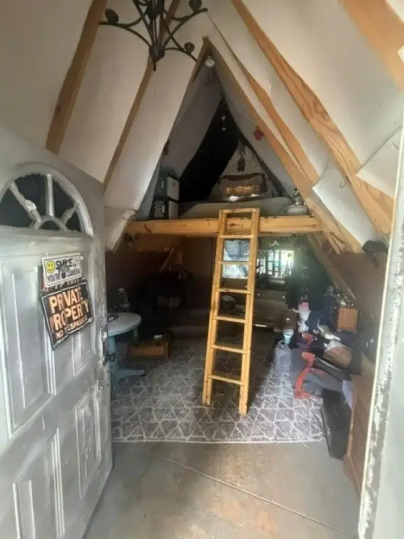 Picture 7