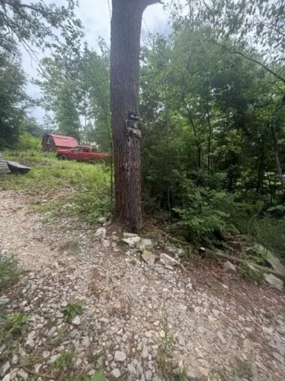 Picture 11