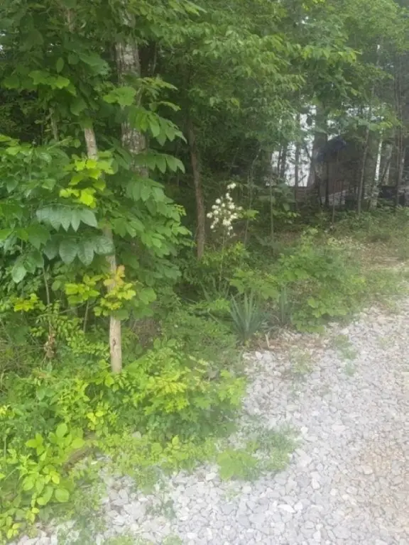 Picture 18