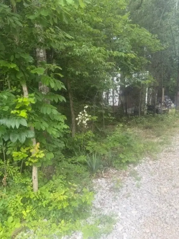 Picture 17