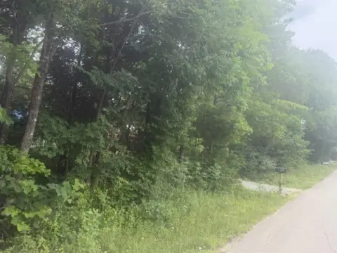 Wooded Lakeside Homesite Lot