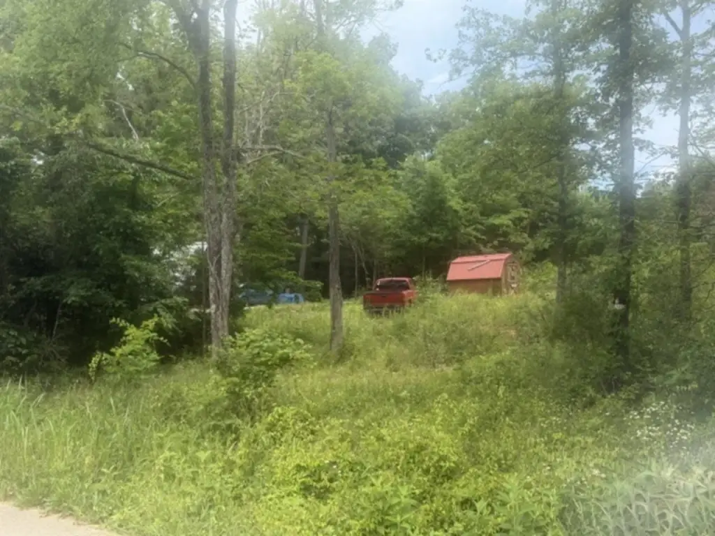 Picture 5