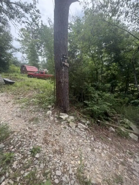 Picture 12