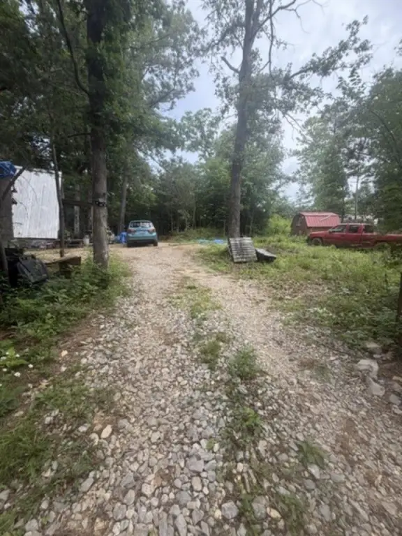 Picture 10