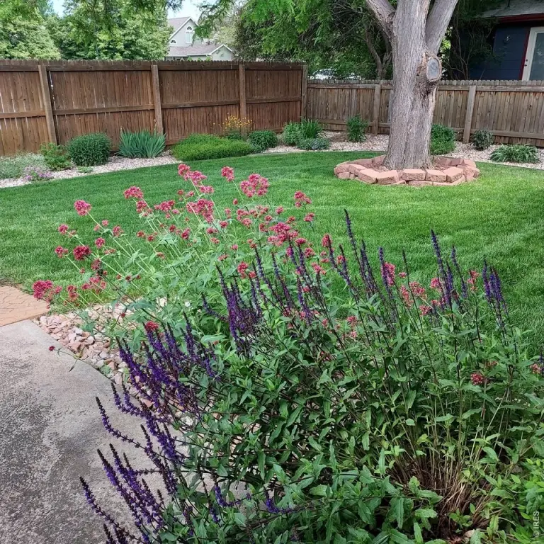 Picture 32