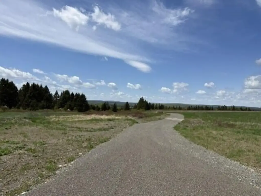 Picture 7
