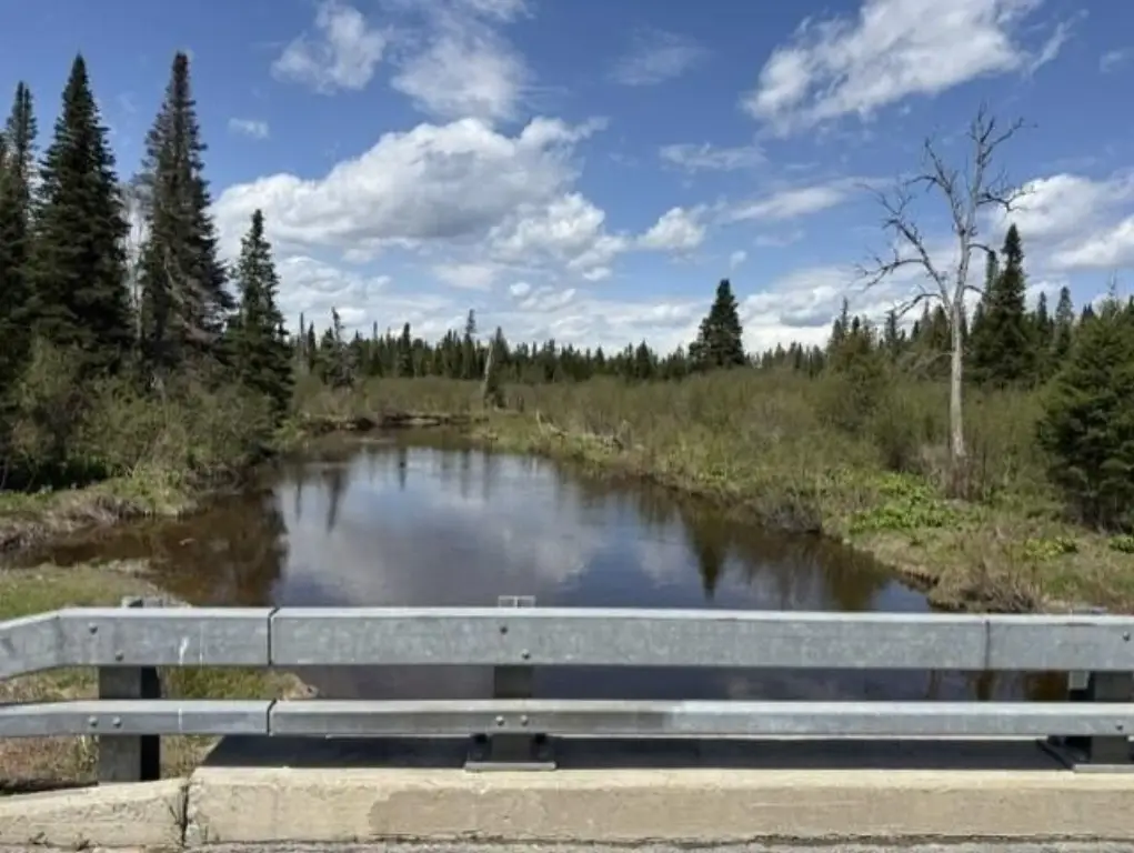 Picture 12