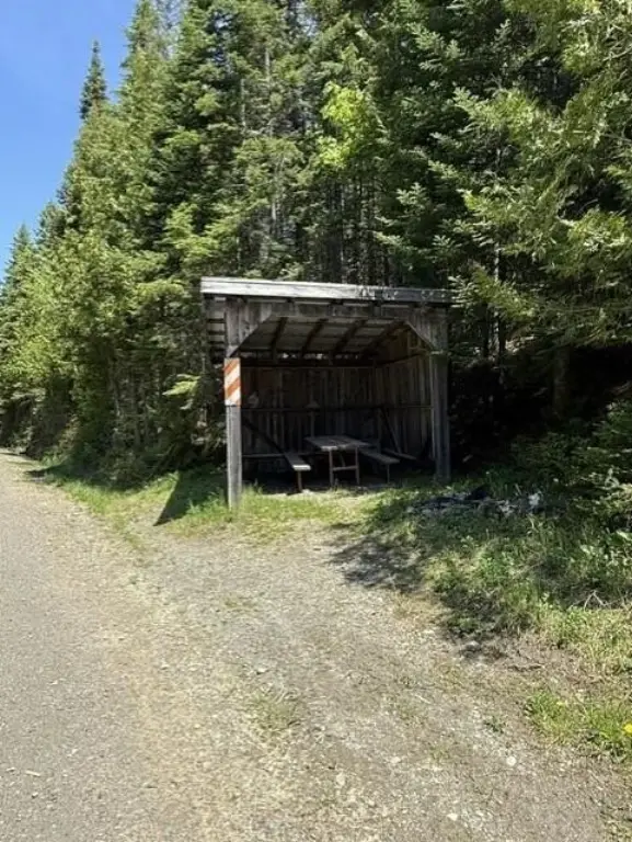 Picture 10