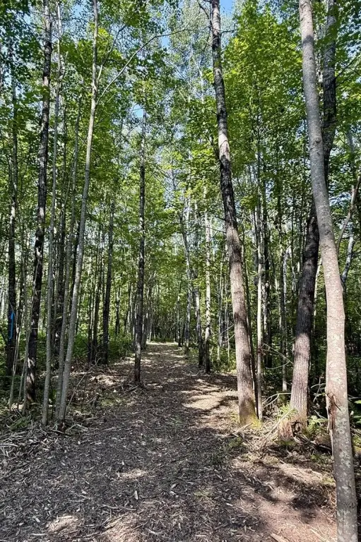 Picture 2