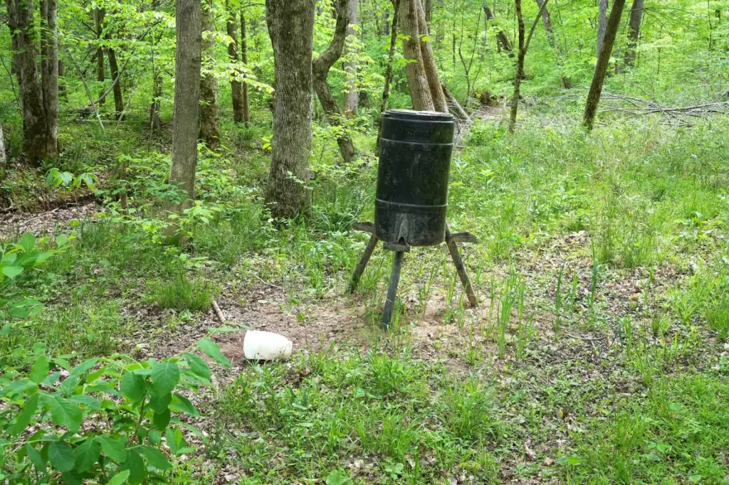 Picture 15