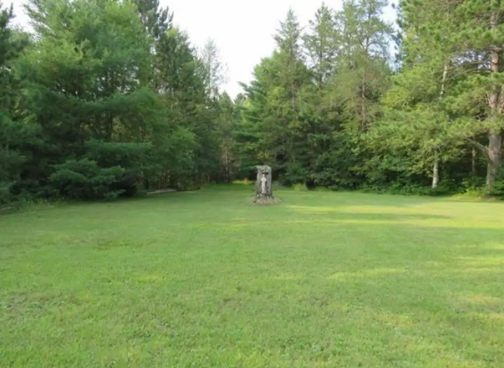 Picture 31