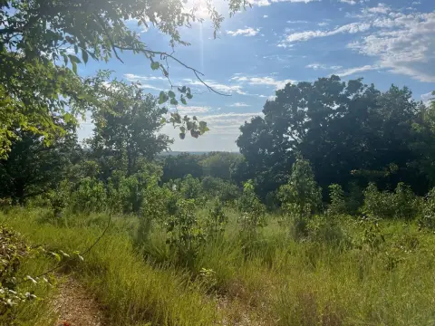 Wooded Highway-Corner Land