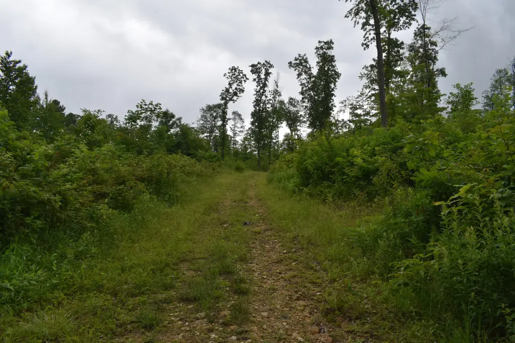 Picture 9