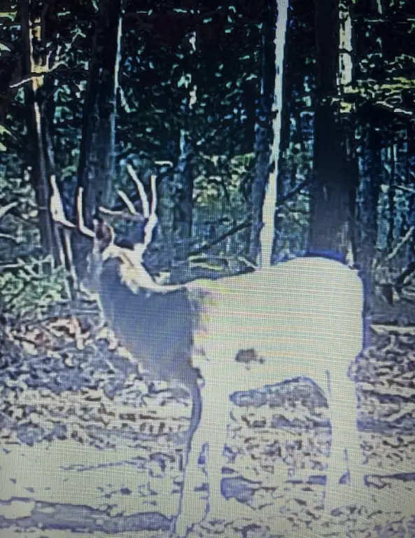Picture 11