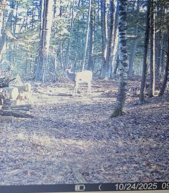 Picture 12